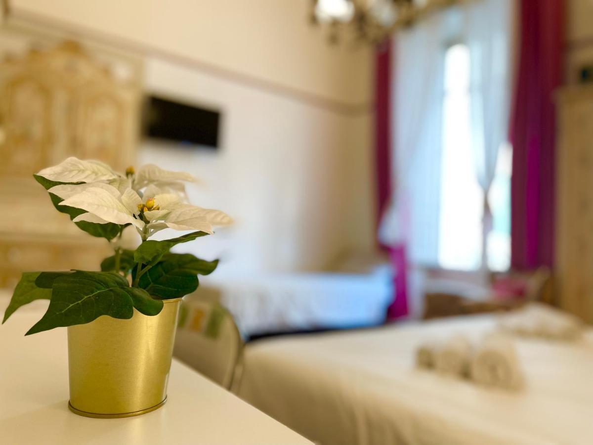 Montello Guest House & Apartment CTA Exteriör bild